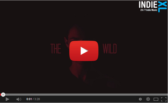videoclip-blackboxred-thewild
