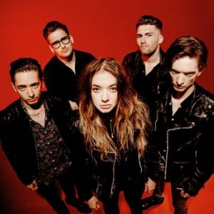 marmozets