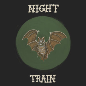 dewolff_nighttrain