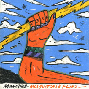 marathon_mosquitoesandflies