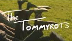 tommyrots