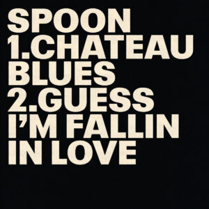 spoon_guessimfallinginlove