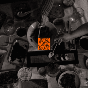 vices_beforeitmightbegone