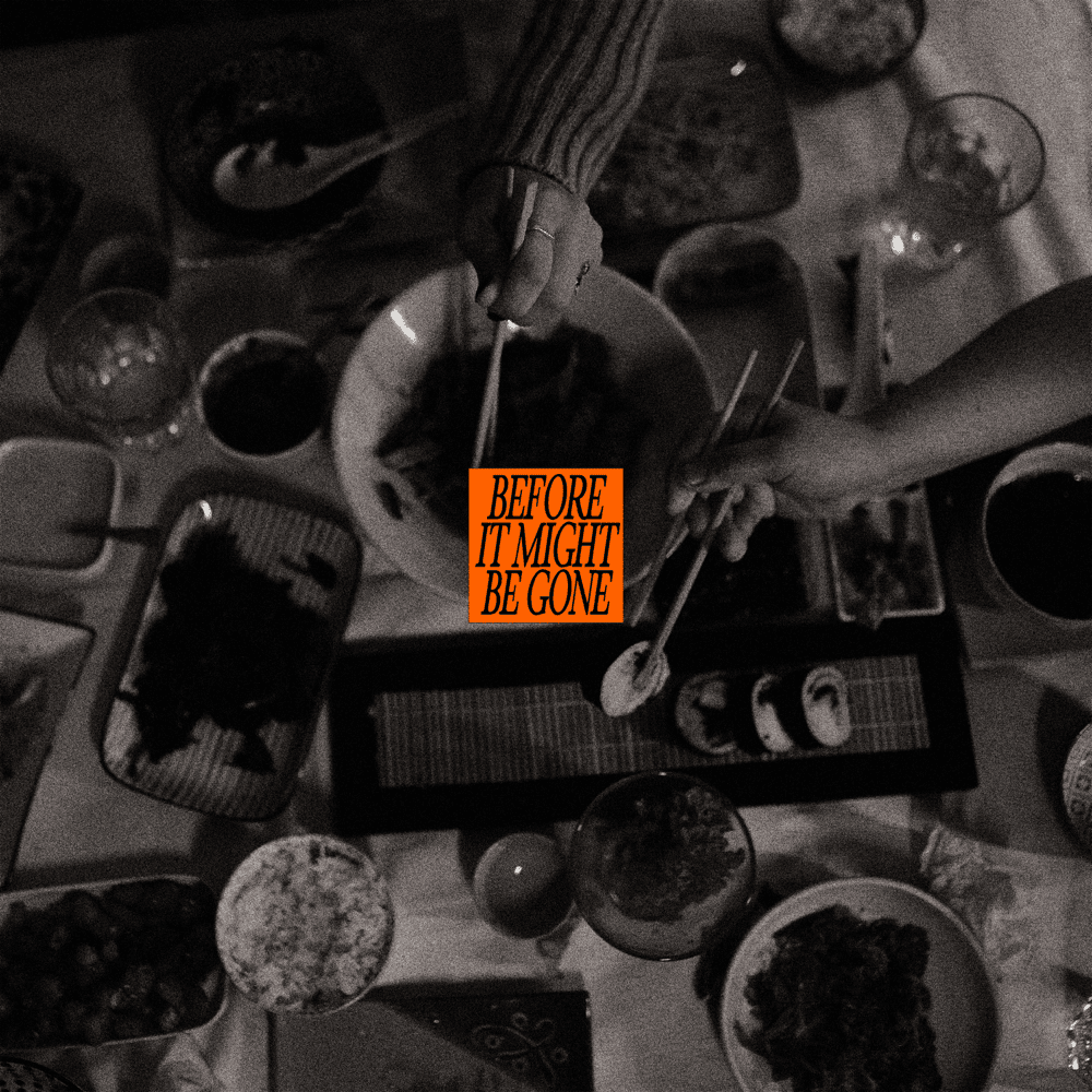 vices_beforeitmightbegone