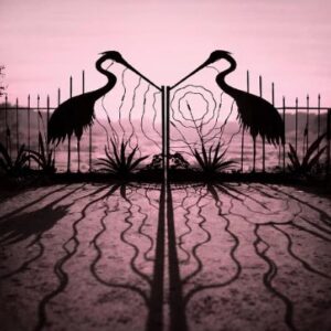 afghanwhigs_mylover