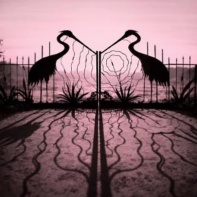 afghanwhigs_mylover