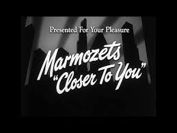 marmozets_closertoyou