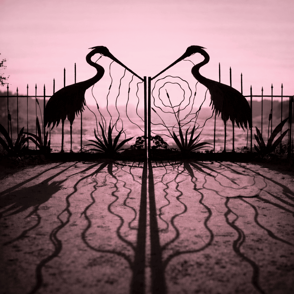 afghanwhigs_softcontrol